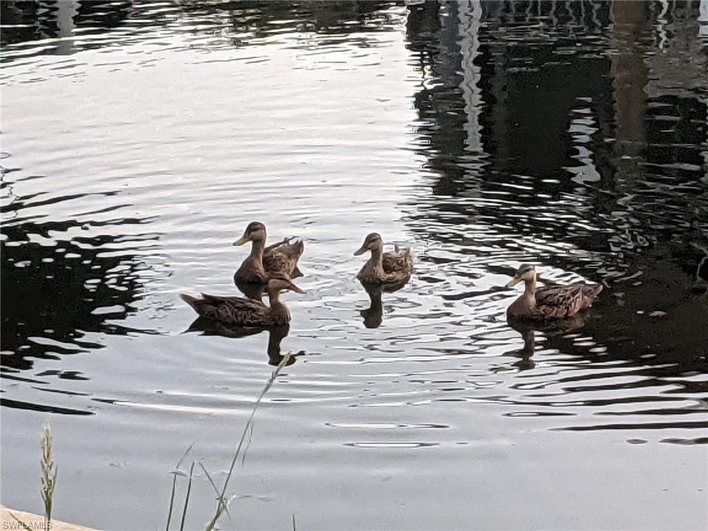 36 Emily Ln, Fort Myers Beach, FL 33931 Photo