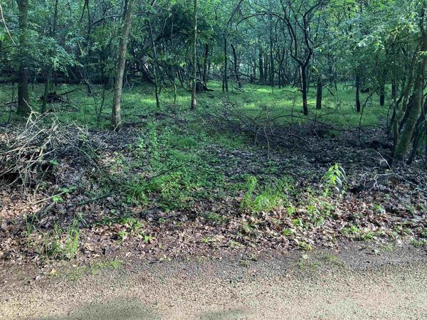 ECHO LAKE ROAD, Wild Rose, WI 54984