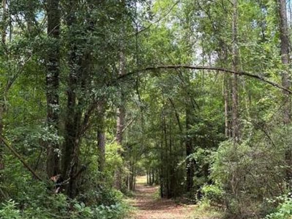 0 Spice Pond Drive, Eight Mile, AL 36613