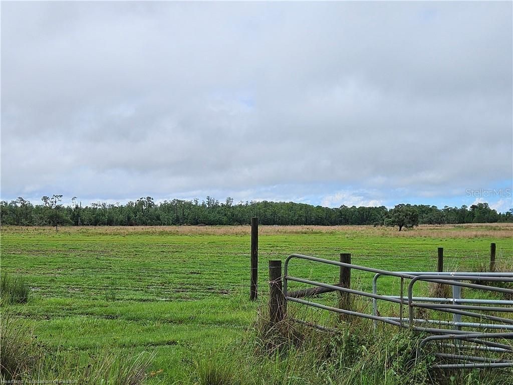 1013 Cattle Ranch Road, Venus, FL 33960 Photo
