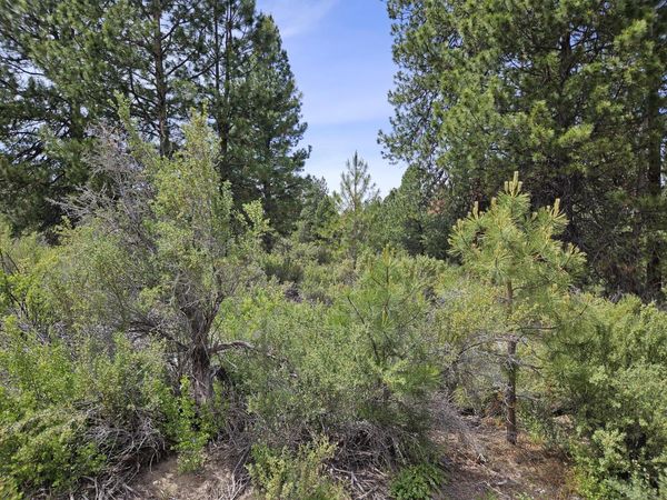00 Pine Ridge Loop, Unit Lot 7, Chiloquin, OR 97624