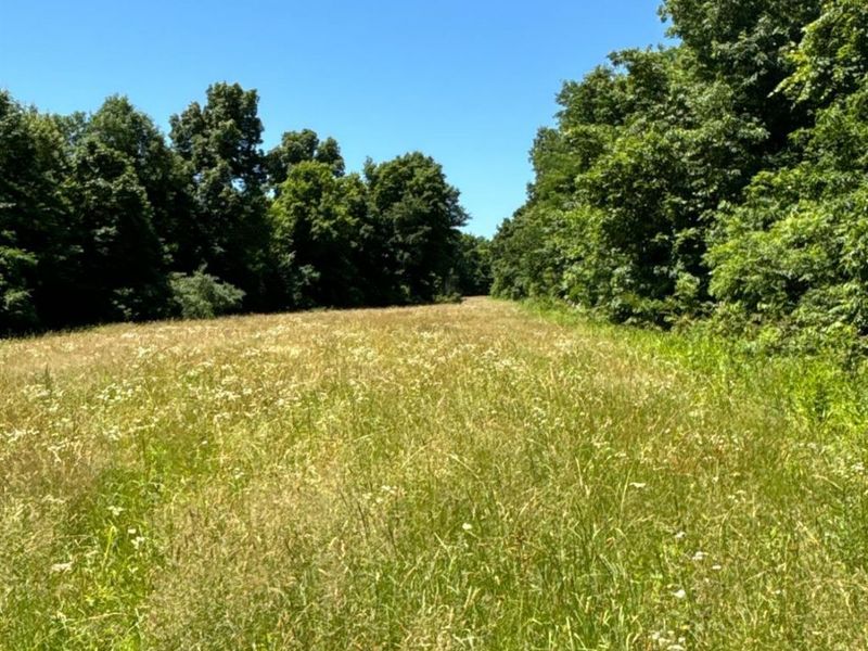 2484 St Rt 756, Moscow, OH 45153 Photo 10