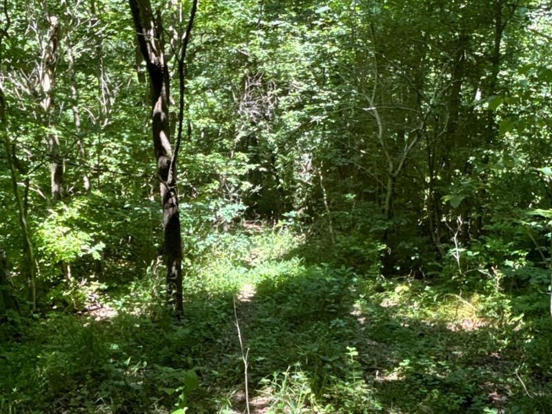 2484 St Rt 756, Moscow, OH 45153 Photo 11