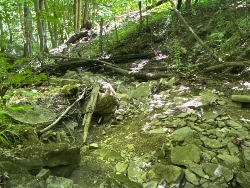 2484 St Rt 756, Moscow, OH 45153 Photo 12