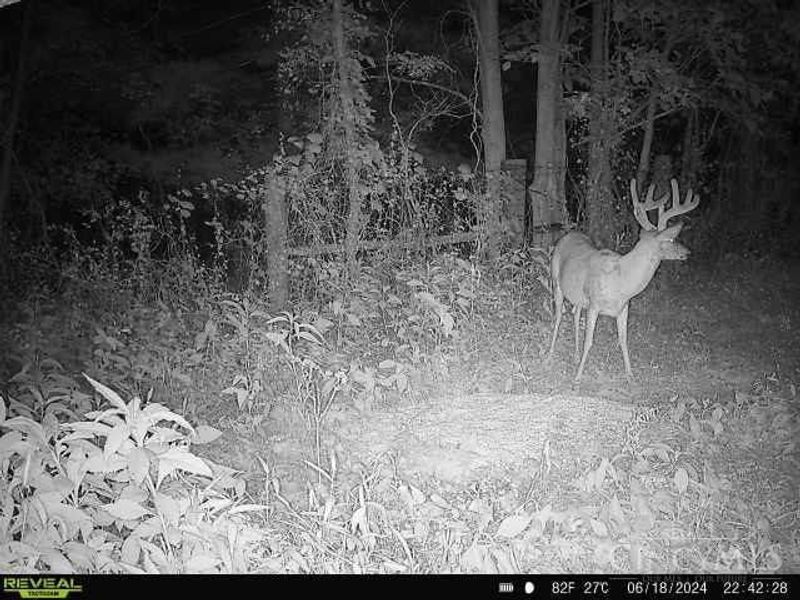 2484 St Rt 756, Moscow, OH 45153 Photo 14