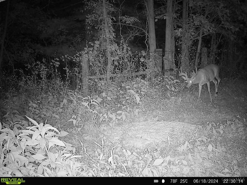 2484 St Rt 756, Moscow, OH 45153 Photo 15