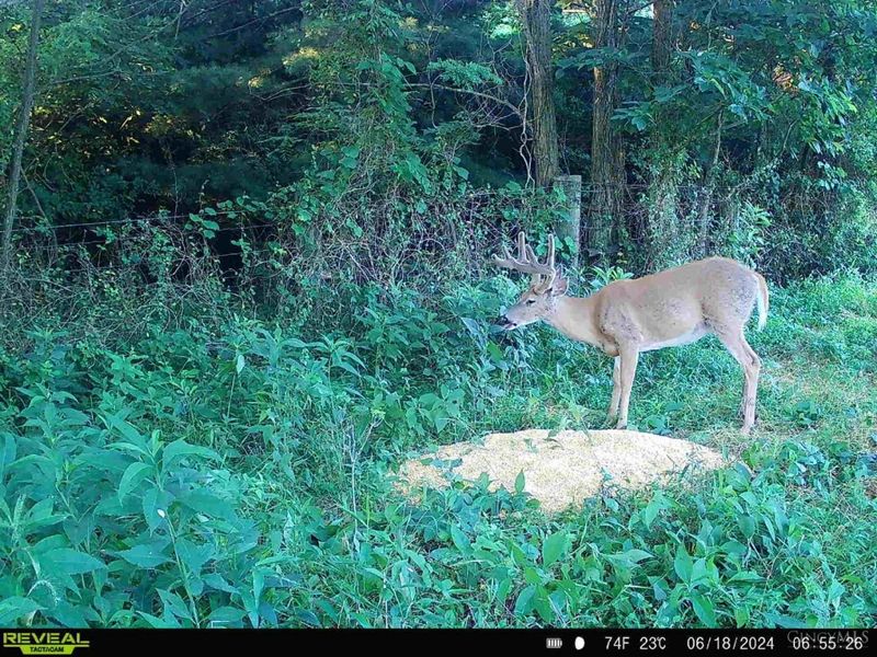 2484 St Rt 756, Moscow, OH 45153 Photo 16