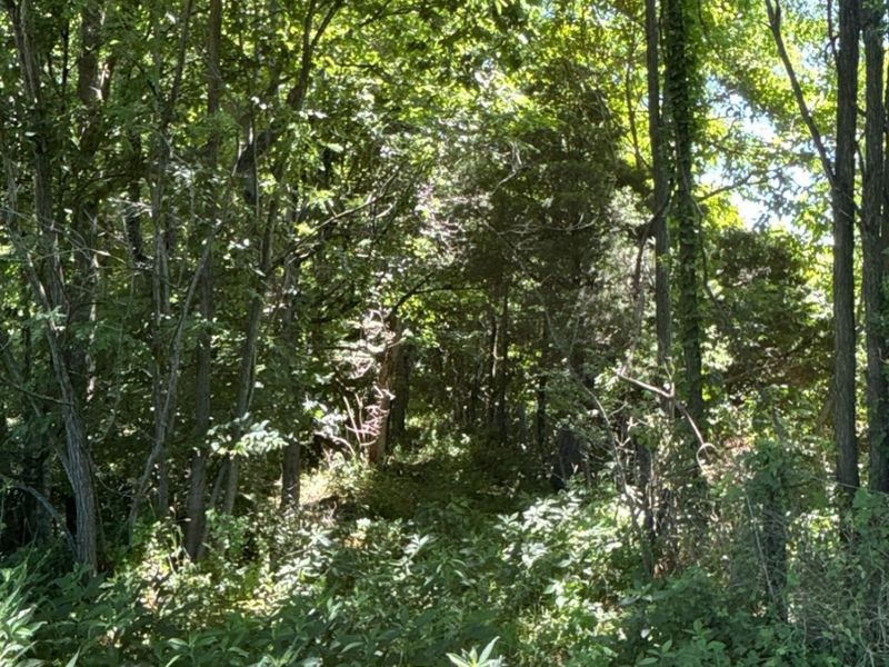 2484 St Rt 756, Moscow, OH 45153 Photo 4