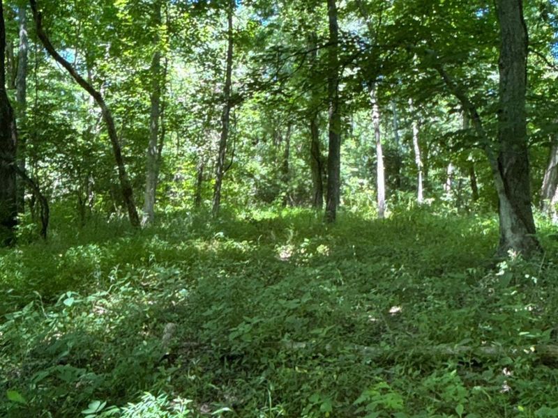 2484 St Rt 756, Moscow, OH 45153 Photo 5