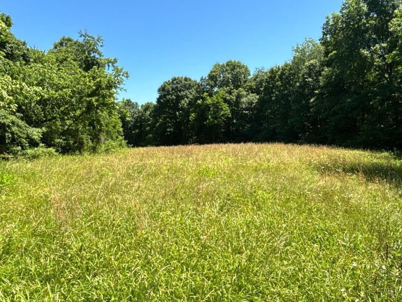 2484 St Rt 756, Moscow, OH 45153 Photo 6