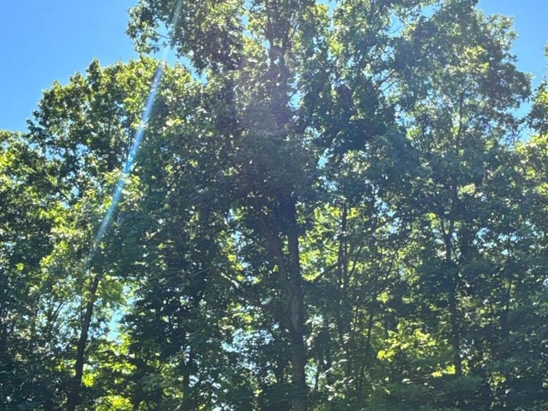 2484 St Rt 756, Moscow, OH 45153 Photo 7