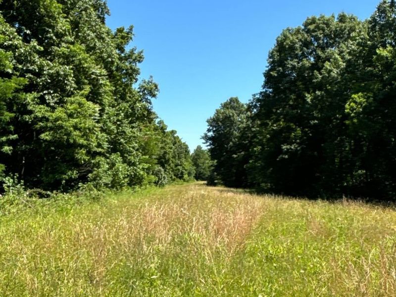 2484 St Rt 756, Moscow, OH 45153 Photo 8