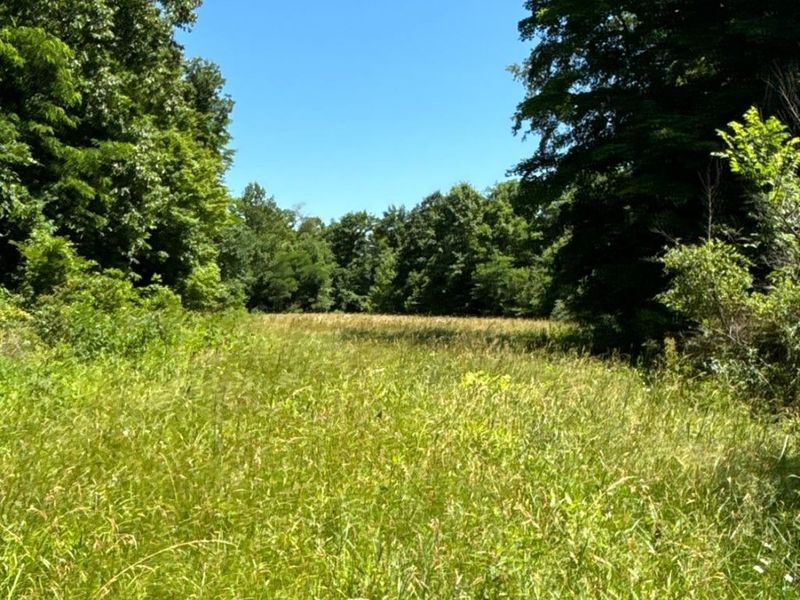 2484 St Rt 756, Moscow, OH 45153 Photo 9