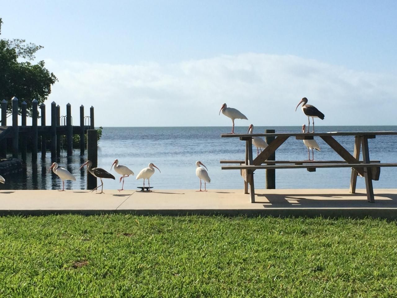 21540 21470 Overseas Highway, Cudjoe, FL 33042 Photo