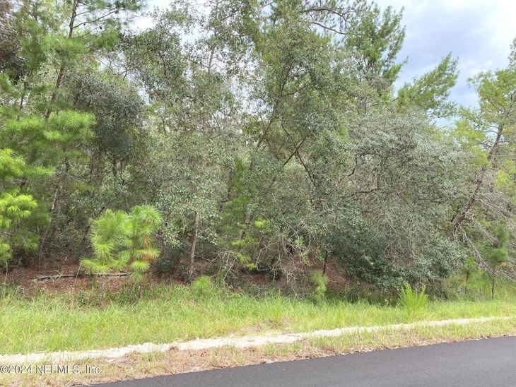 118 Spanish Trail, Georgetown, FL 32139
