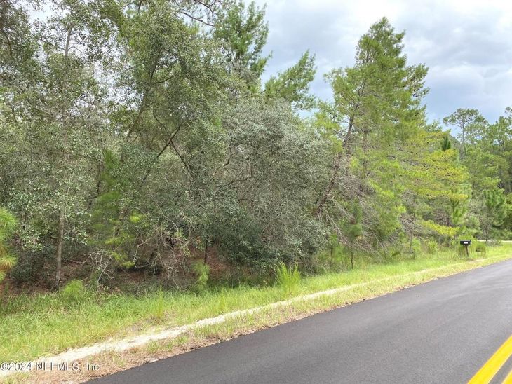 118 Spanish Trail, Georgetown, FL 32139