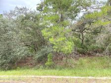 118 Spanish Trail, Georgetown, FL 32139