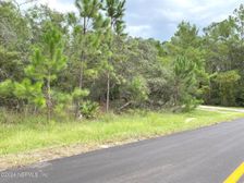 118 Spanish Trail, Georgetown, FL 32139