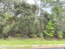 118 Spanish Trail, Georgetown, FL 32139