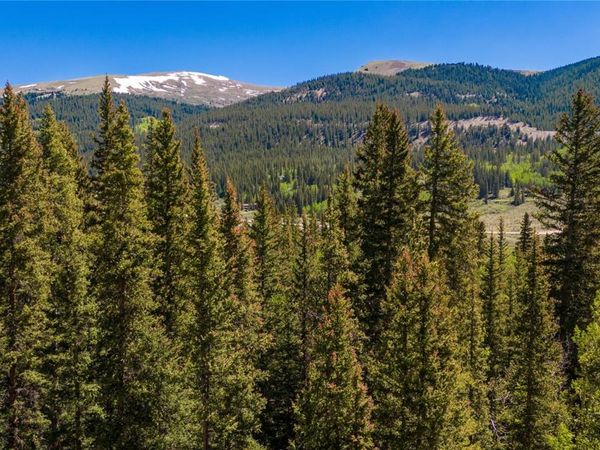 797 Peterson Drive, Fairplay, CO 80440