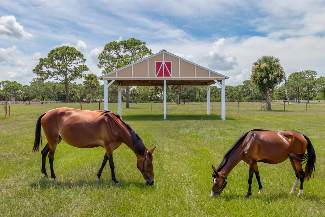 4715 Blossom Ridge Place, Grant, FL 32949 Photo