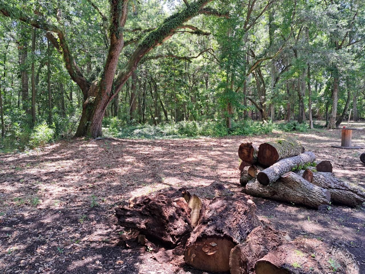 0 Rafael Lane Photo 1