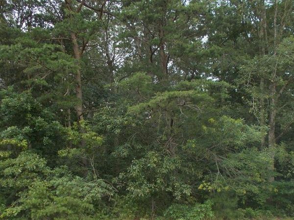 4907 PAYNE ROAD, HURLOCK, MD 21643