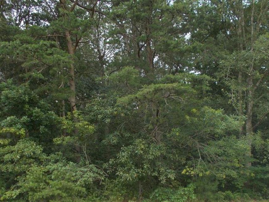 4907 Payne Road, Hurlock, MD 21643 Main Photo