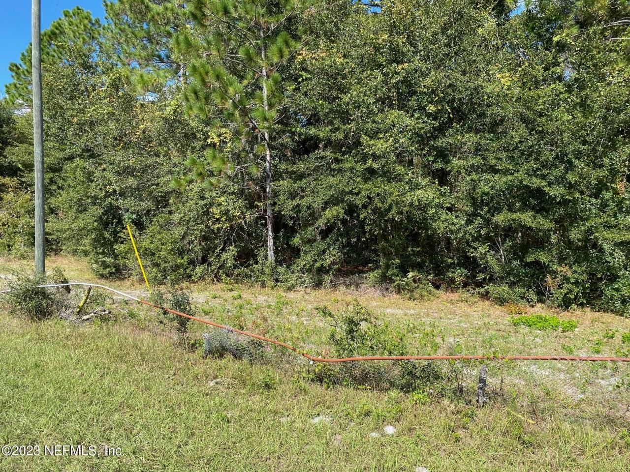 Tbd Fl Sr 20 Highway, Interlachen, FL 32148 Photo