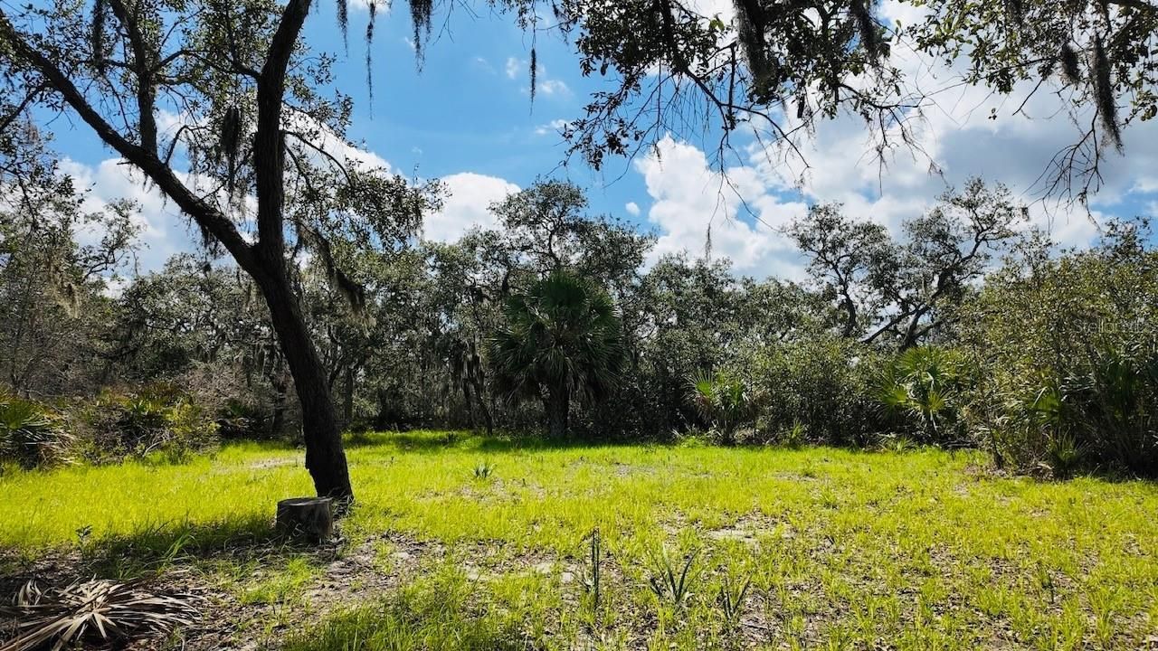 00000 Clark Island, Cedar Key, FL 32625 Photo