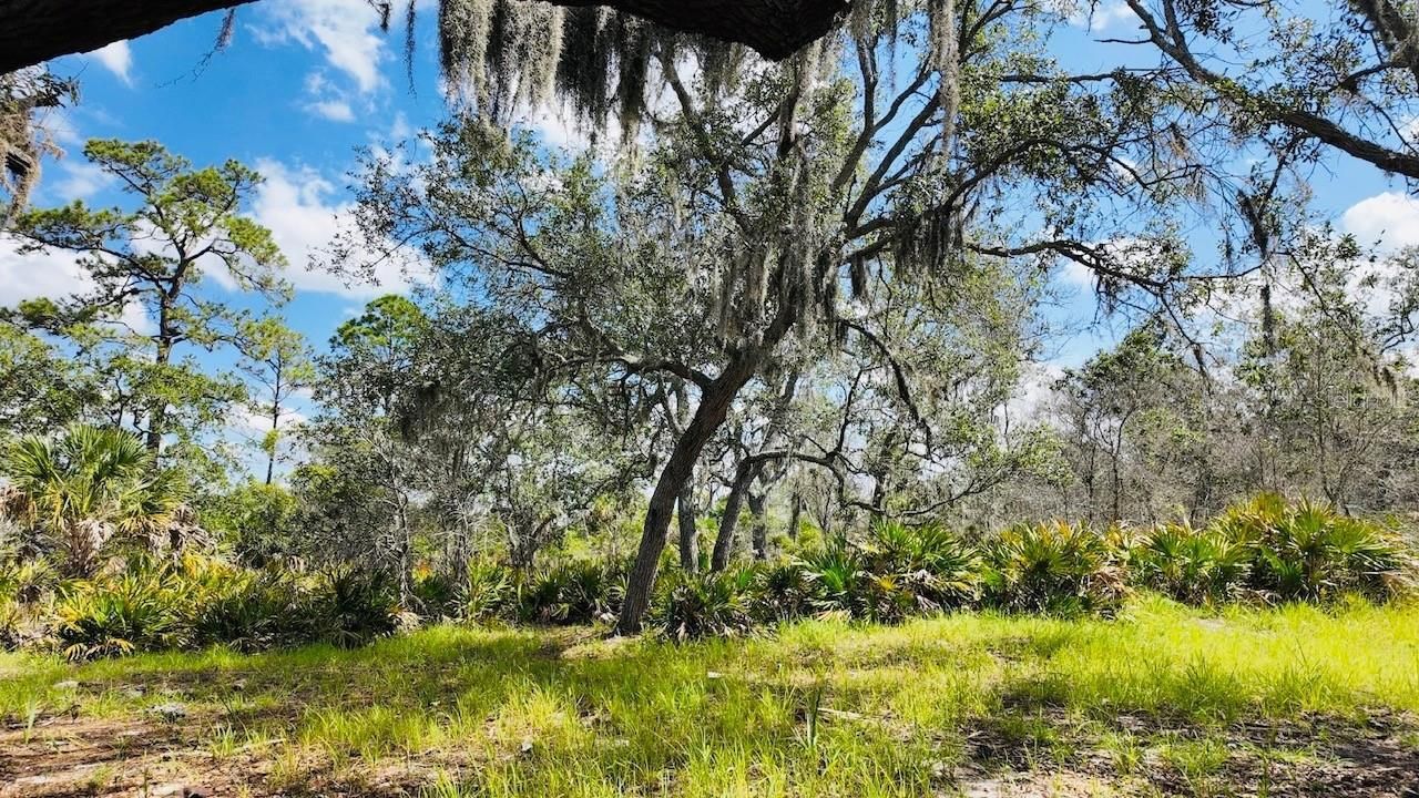 00000 Clark Island, Cedar Key, FL 32625 Photo