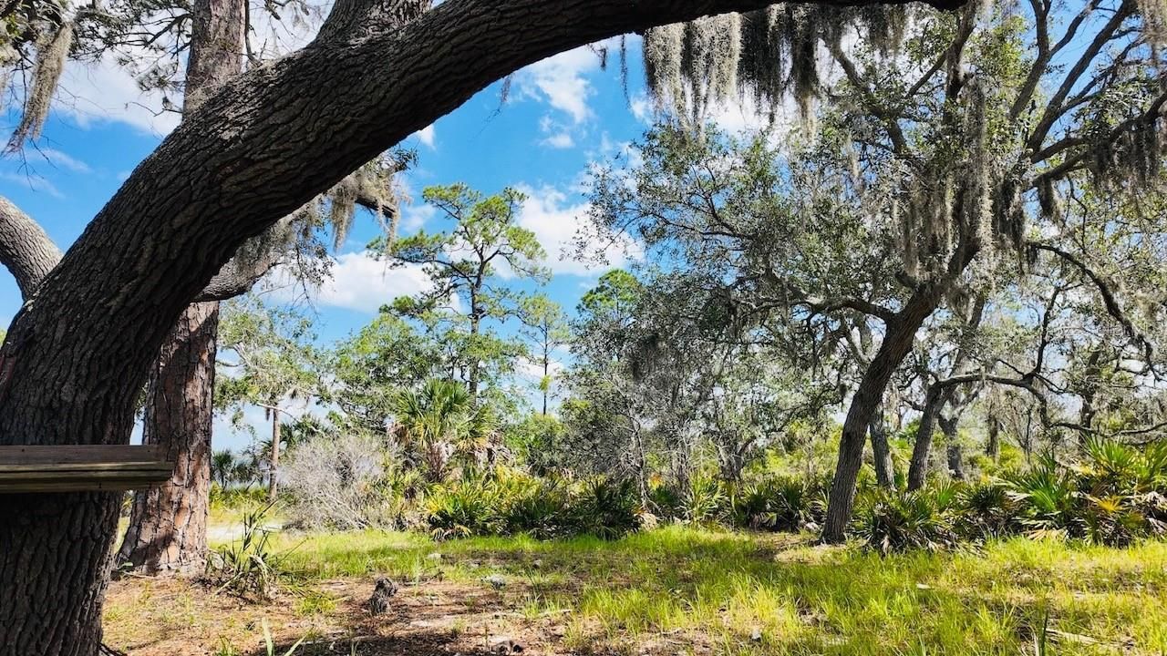 00000 Clark Island, Cedar Key, FL 32625 Photo