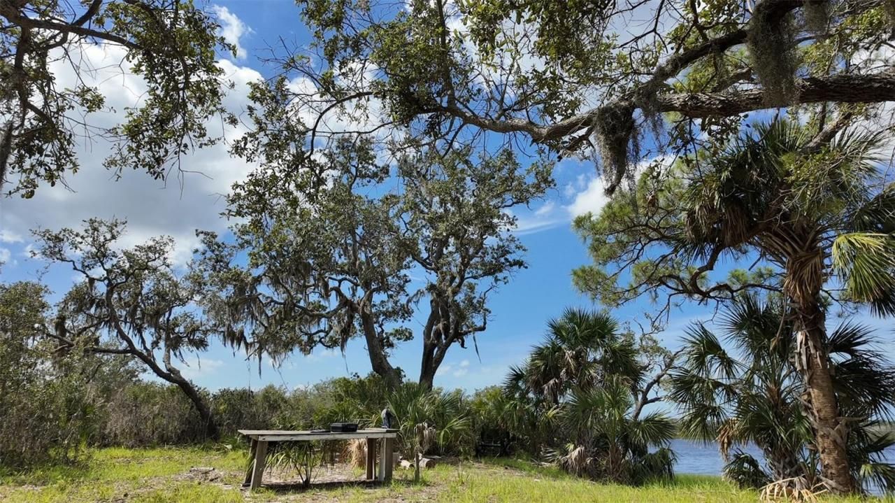 00000 Clark Island, Cedar Key, FL 32625 Photo