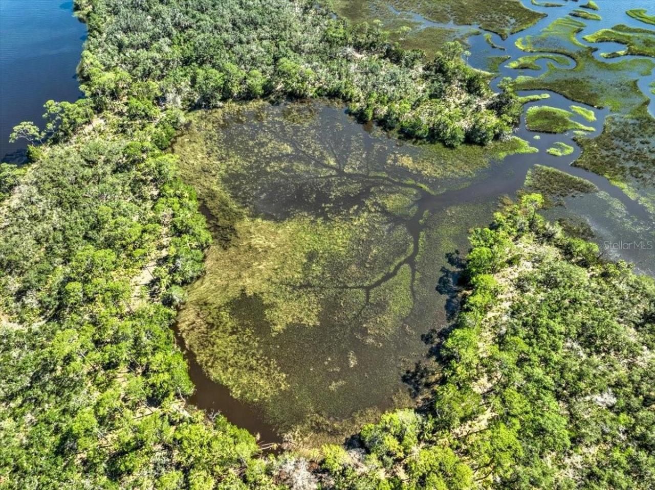 00000 Clark Island, Cedar Key, FL 32625 Photo