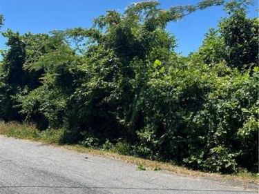 7209 Harrison Avenue, Henrico, VA 23228