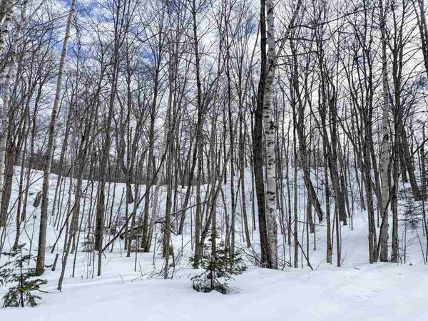 Lots 565-568 Island Woods Road, Beaver Island, MI 49782