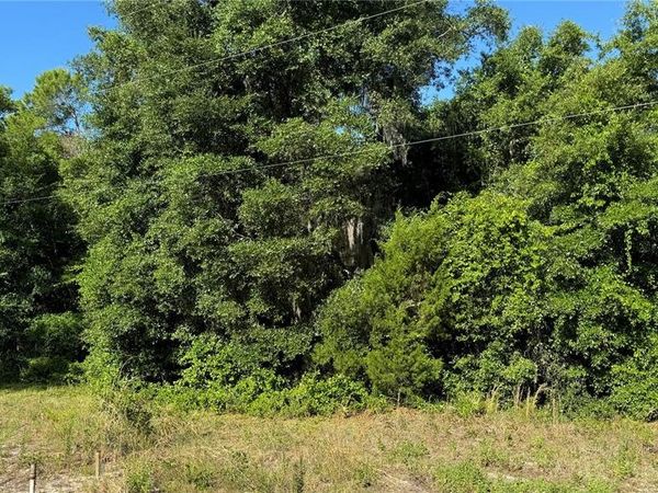 8045 NE 307TH AVENUE, FORT MC COY, FL 32134