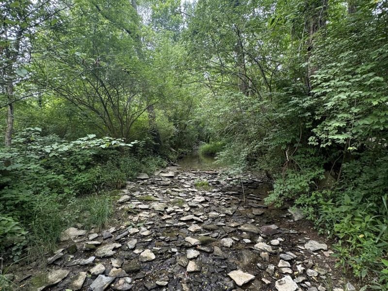 1093 Nantucket Way, Crittenden, KY 41030 Photo 10