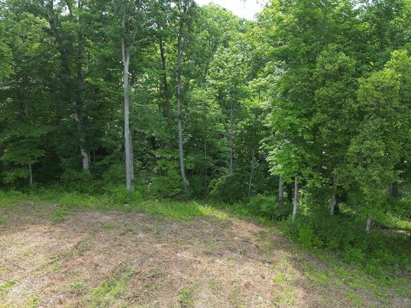 1093 Nantucket Way, Crittenden, KY 41030 Photo 14