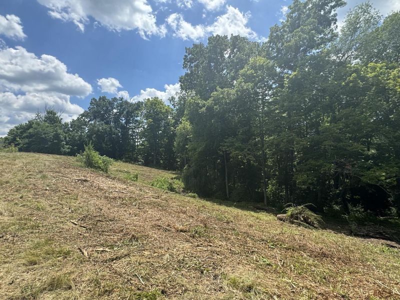 1093 Nantucket Way, Crittenden, KY 41030 Photo 3