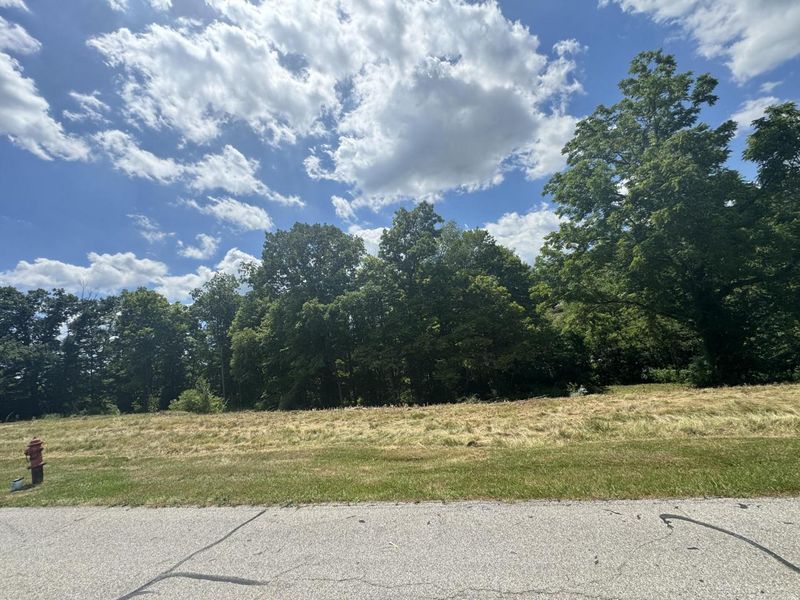 1093 Nantucket Way, Crittenden, KY 41030 Photo 4