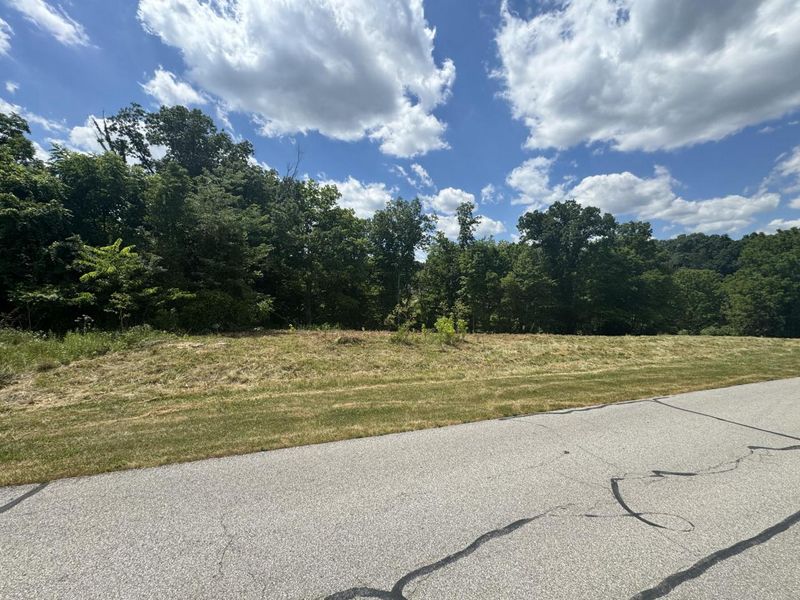 1093 Nantucket Way, Crittenden, KY 41030 Photo 5