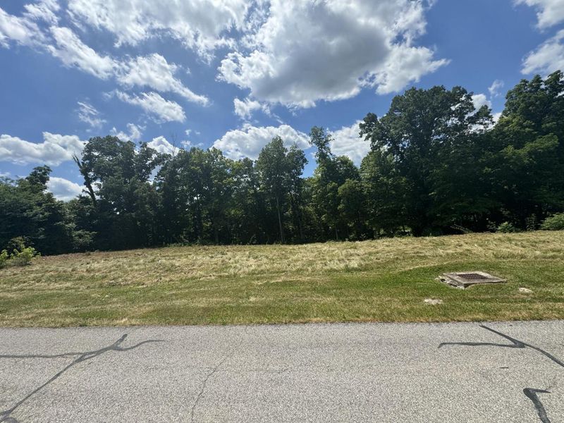 1093 Nantucket Way, Crittenden, KY 41030 Photo 6