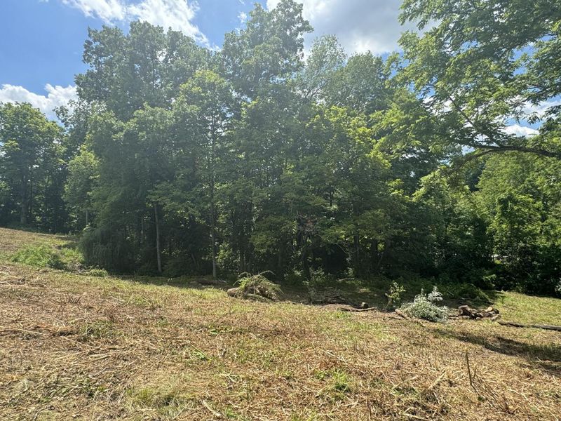 1093 Nantucket Way, Crittenden, KY 41030 Photo 9