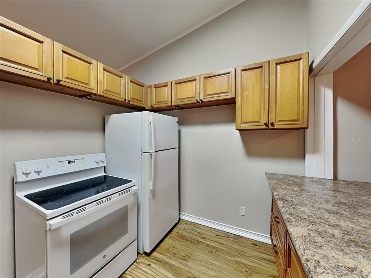 424 E Welch Road, Apopka, FL 32712 Photo