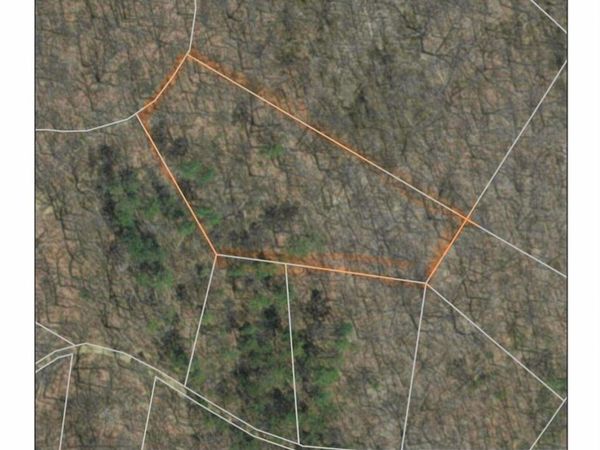 TBD RATTLESNAKE LN, MOUNT JACKSON, VA 22842