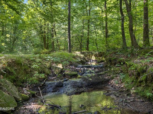 S S Roane St, Harriman, TN 37748