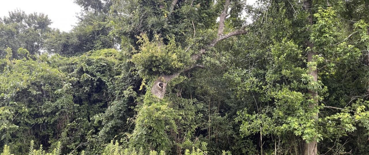 00000 Central Avenue Photo 1