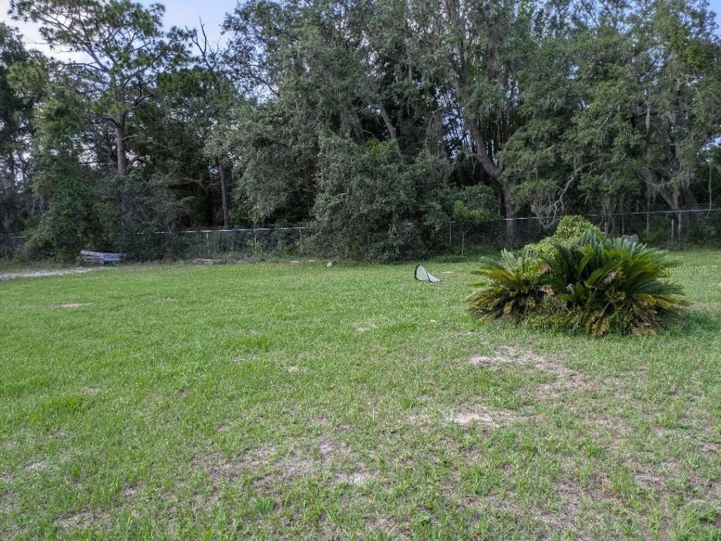 17201 Us Highway 41, Spring Hill, FL 34610 Photo