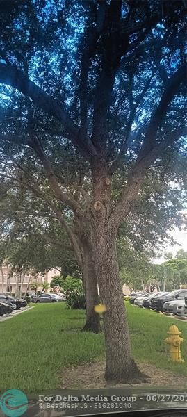 10145 Sunrise Lakes Blvd, Unit 405, Sunrise, FL 33322 Photo